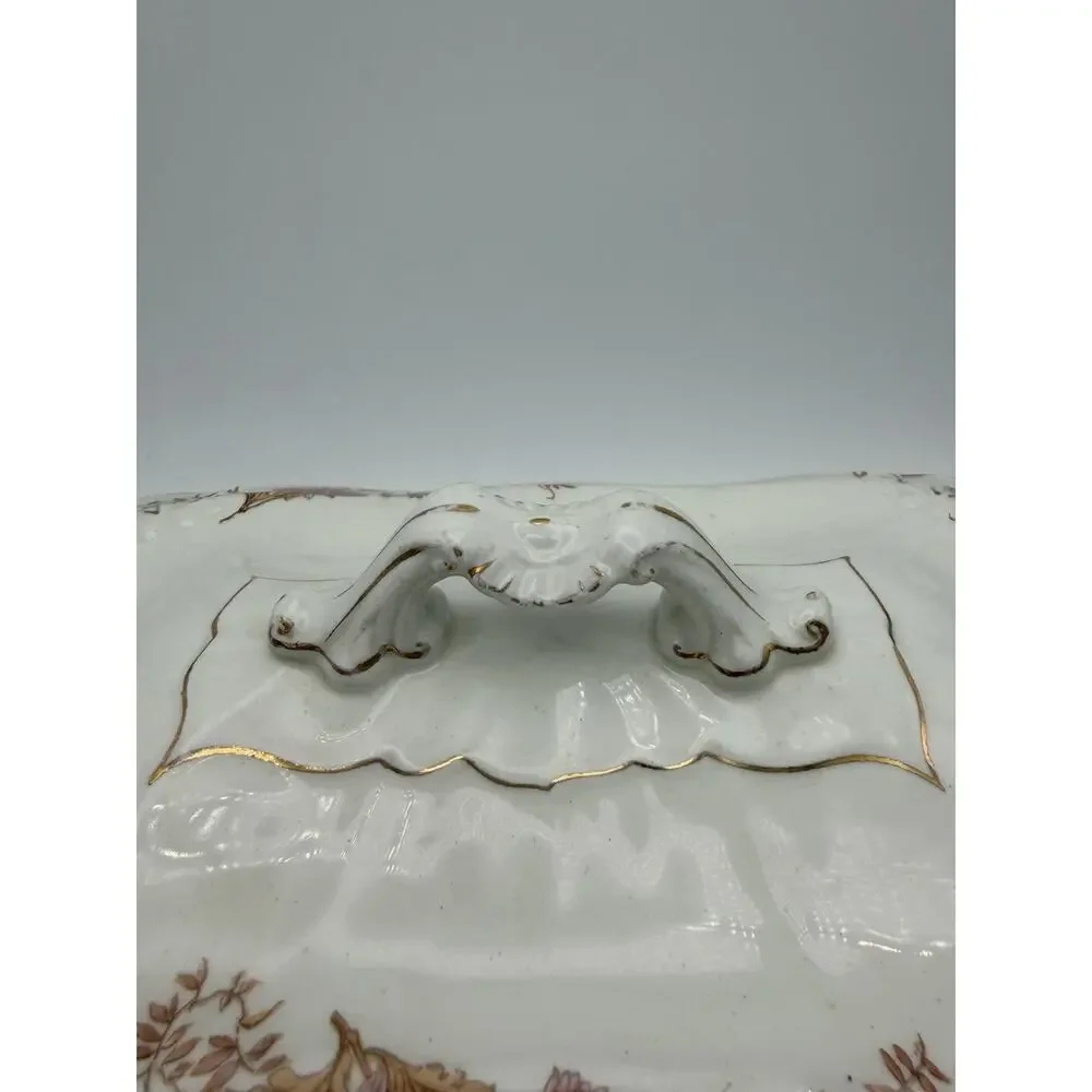 Antique Ridgway Semi Porcelain. 1890.